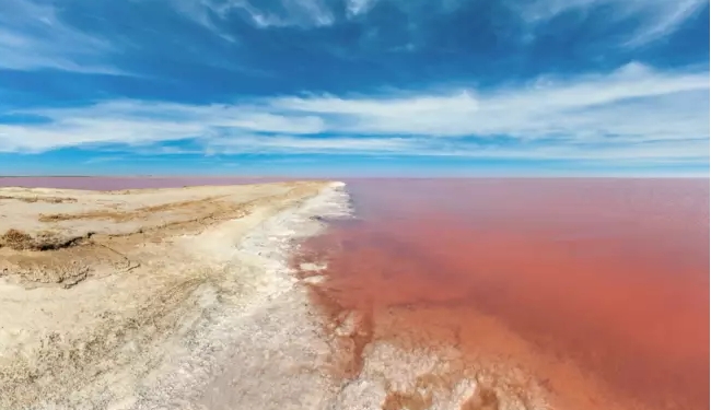 Уникальное Розовое озеро в Украине: где находится и почему туда стоит поехать